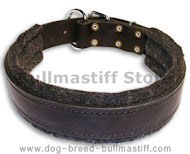 BUY 1.5 inch Leather Collar for Bullmastiff BUY 1.5 inch Leather Collar for Bullmastiff