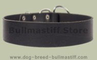 2 inch wide All Weather Collar for Bullmastiff-Leather Collar 2 inch wide All Weather Collar for Bullmastiff-Leather Collar