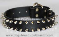 Leather Spiked Dog Collar for Big dogs- Custom spikes dog collar