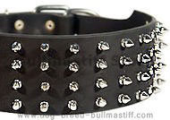 3 inch custom spiked collar for Bullmastiff 3 inch custom spiked collar for Bullmastiff