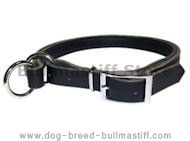 Adjustable Leather Slip Collar&Solid NICKEL hardware Bullmastiff Adjustable Leather Slip Collar&Solid NICKEL hardware Bullmastiff