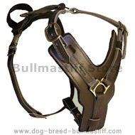 BULLMASTIFF Padded Dog Harness H10 BULLMASTIFF Padded Dog Harness H10