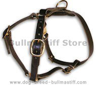BULLMASTIFF Leather Dog Harness H7 for walking and tracking BULLMASTIFF Leather Dog Harness H7 for walking and tracking