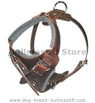 BULLMASTIFF adjustable dog harness - H1 BULLMASTIFF adjustable dog harness - H1