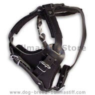 BULLMASTIFF Control Dog Harness - H1 BULLMASTIFF Control Dog Harness - H1