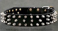 Black Spiked Leather Dog Collar for Bullmastiff Black Spiked Leather Dog Collar for Bullmastiff