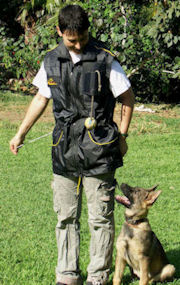 HANDLER VEST DOG TRAINING - SCHUTZHUND DOG TRAINING VESTS