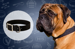 Dog collar