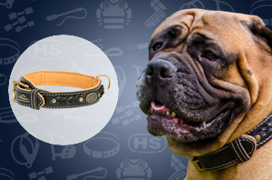 Leather Dog Collar