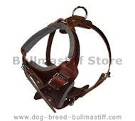 Comfort Padded Dog Harness for Bullmastiff Comfort Padded Dog Harness for Bullmastiff