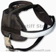 Bullmastiff puppy Dog Harness - SMALL/MEDIUM Nylon Dog Harness Bullmastiff puppy Dog Harness - SMALL/MEDIUM Nylon Dog Harness