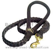 Deluxe Full-Braided Leashes 4 foot-Braided Leash Bullmastiff
