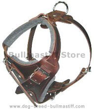 Dog Body Harness for BullMastiff-BEST Leather Dog Harness Dog Body Harness for BullMastiff-BEST Leather Dog Harness