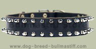 Double Row Spiked Collar for BullMastiff- Leather Spike Coll Double Row Spiked Collar for BullMastiff- Leather Spike Coll