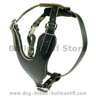 Heavy Duty Dog Harness for Bullmastiff Heavy Duty Dog Harness for Bullmastiff