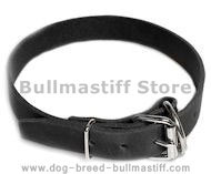 Leather Field Collar for Bullmastiff Leather Field Collar for Bullmastiff