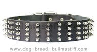 2 inch wide Leather Spiked Dog Collar for Bullmastiff 2 inch wide Leather Spiked Dog Collar for Bullmastiff