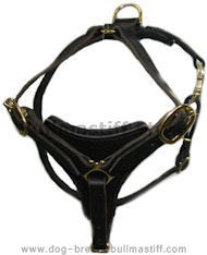 Tracking Leather Dog Harness for Bullmastiffs - Black Harness H3 Tracking Leather Dog Harness for Bullmastiffs - Black Harness H3
