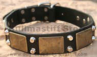Bullmastiff Custom Leather Dog Collar- brass plates,pyramid