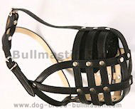 Bullmastiff dog muzzle-Everyday Light Weight Ventilation muzzle