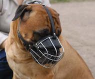 Wire Basket Dog Muzzles for Bullmastiff