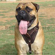 Bullmastiff Agitation/Protection Large Leather Dog Harness Bullmastiff Agitation/Protection Large Leather Dog Harness