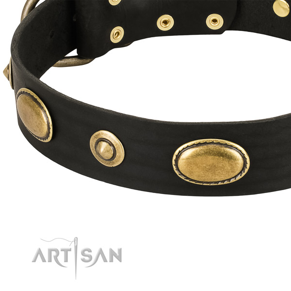 Corrosion proof adornments on full grain natural leather dog collar for your four-legged friend