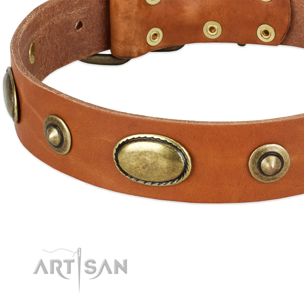 Corrosion resistant hardware on full grain natural leather dog collar for your doggie