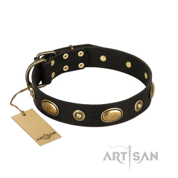 Convenient full grain leather collar for your four-legged friend