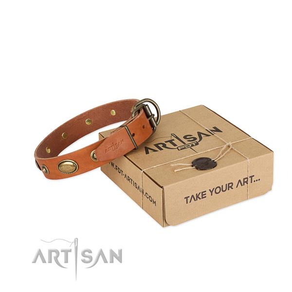 Durable embellishments on full grain leather dog collar for your canine