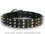 bullmastiff leather spiked dog collar