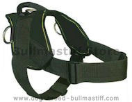 Bullmastiff Nylon Dog Harness - H6 Bullmastiff Nylon Dog Harness - H6