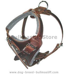 handmade leather dog harness