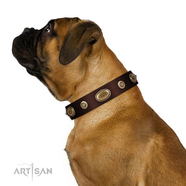Basic training dog collar of leather with impressive embellishments