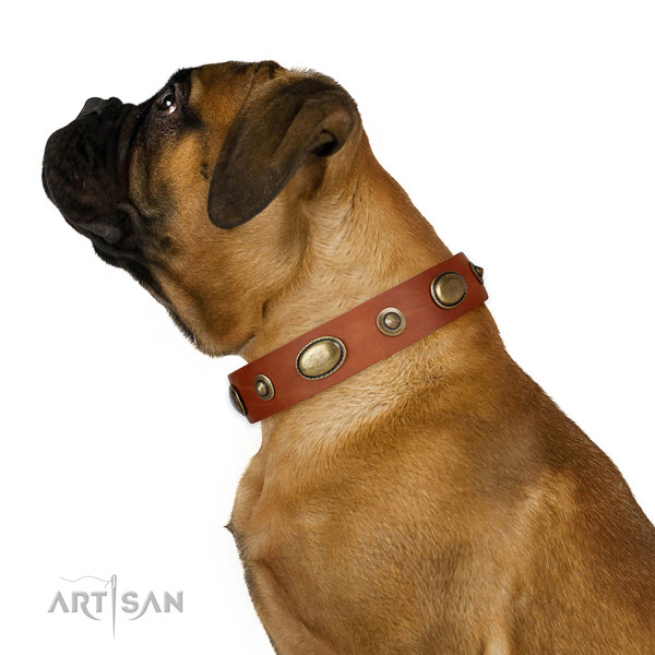 Easy wearing dog collar of natural leather with unusual embellishments