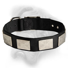 Great Nylon Bullmastff dog collar equipped with buckle and D-ring