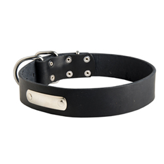 Stylish Dog collar made of leather that your Bullmastiff will like