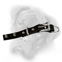 Bullmastiff dog collar with spikes
