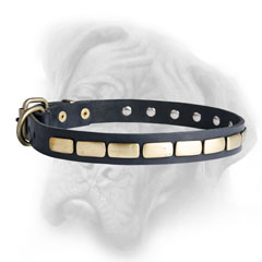 Handmade Bullmastiff collar with brass riveted plates