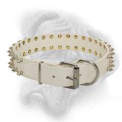 Royal easy adjustable white Bullmastiff collar