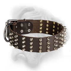 Trendy Bullmastiff collar with 4 rows of spikes