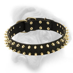 Leather Bullmastiff collar with 2 rows of spikes