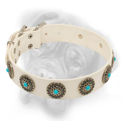 Gorgeous Bullmastiff collar decorated with  blue stones