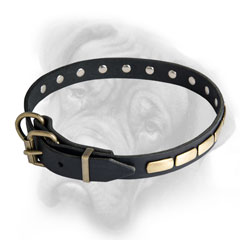 Non-Toxic Adjustable Bullmastiff collar with steel old brass plated   fittings