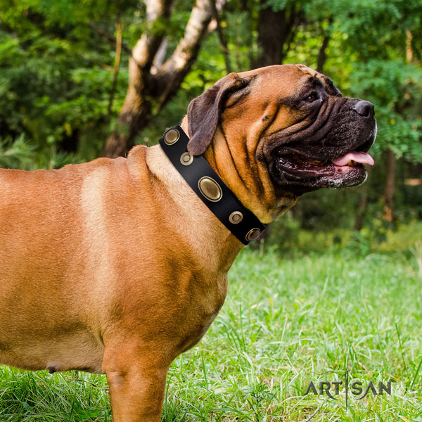 Bullmastiff leather dog collar with studs for your handsome doggie