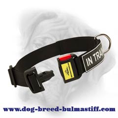 Bullmastiff nylon dog collar for safe walking