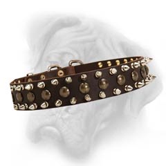 Bullmastiff collar with studs and spikes