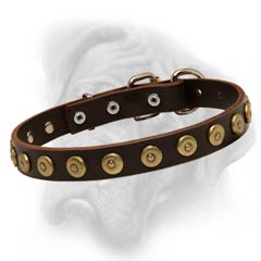 Bullmastiff leather dog collar