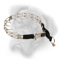 Bullmastiff pinch collar with click lock buckle