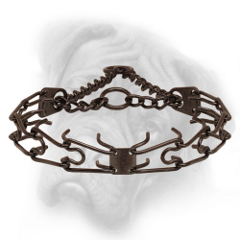 Bullmastiff prong collar with a front plate